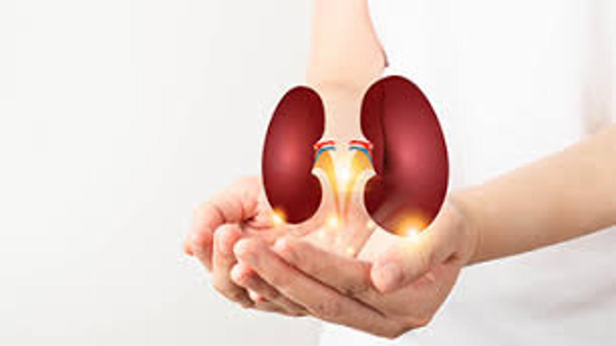 Kidney Health