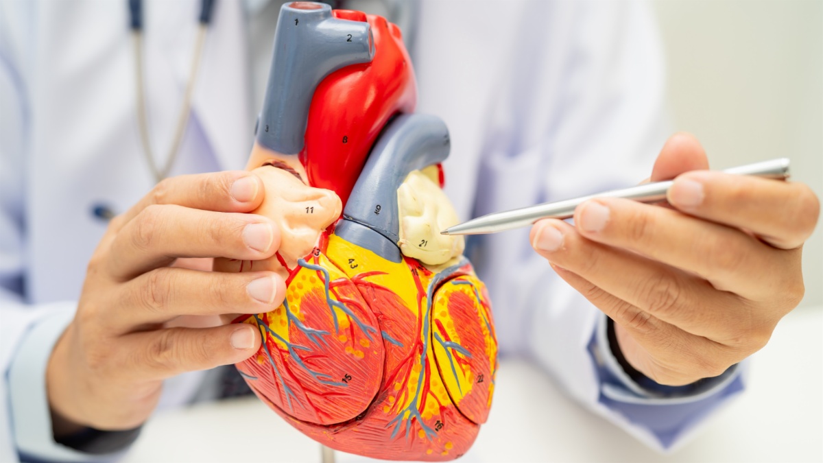 Cardiovascular Technology: करियर, कोर्स और सैलरी 2025